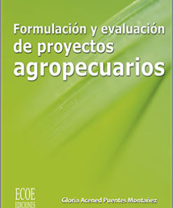 Formulación y evaluación de proyectos - 1ra edición