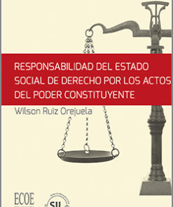 Responsabilidad del Estado social de derecho por los actos del poder constituyente