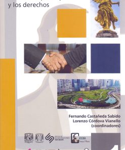 Democracia mexicana: retos de la participación y los derechos - 1ra edición