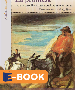 La promesa de aquella inacabable aventura