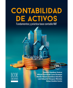 Contabilidad de activos - 1ra edición