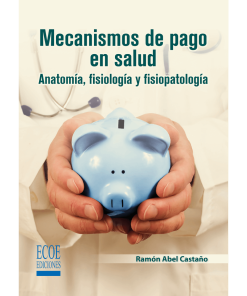 Mecanismos de pago en salud