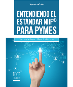 Entendiendo el estándar NIIF® para PYMES - 2da edición