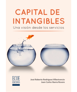 Capital de intangibles. Una visión desde los servicios - 1ra edición