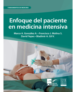 Enfoque del paciente en medicina intensiva - 1ra edición