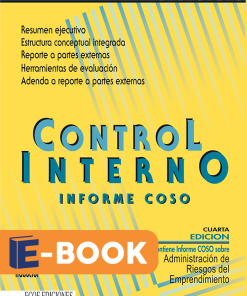 Control interno