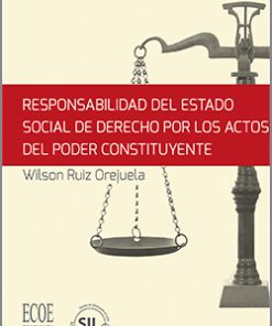 Responsabilidad del Estado social de derecho por los actos del poder constituyente - 1ra edición